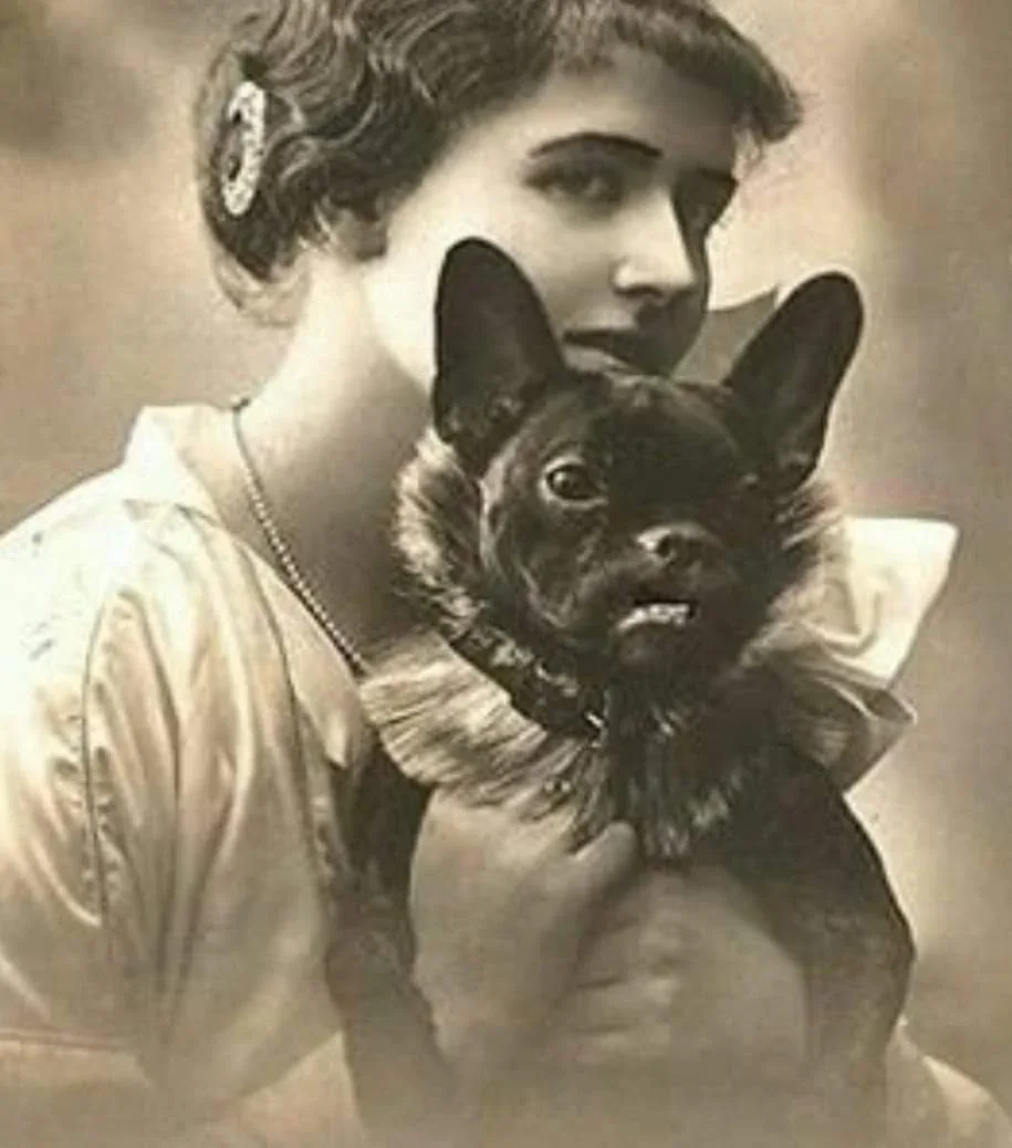 Portrait ancien avec Bouledogue Français