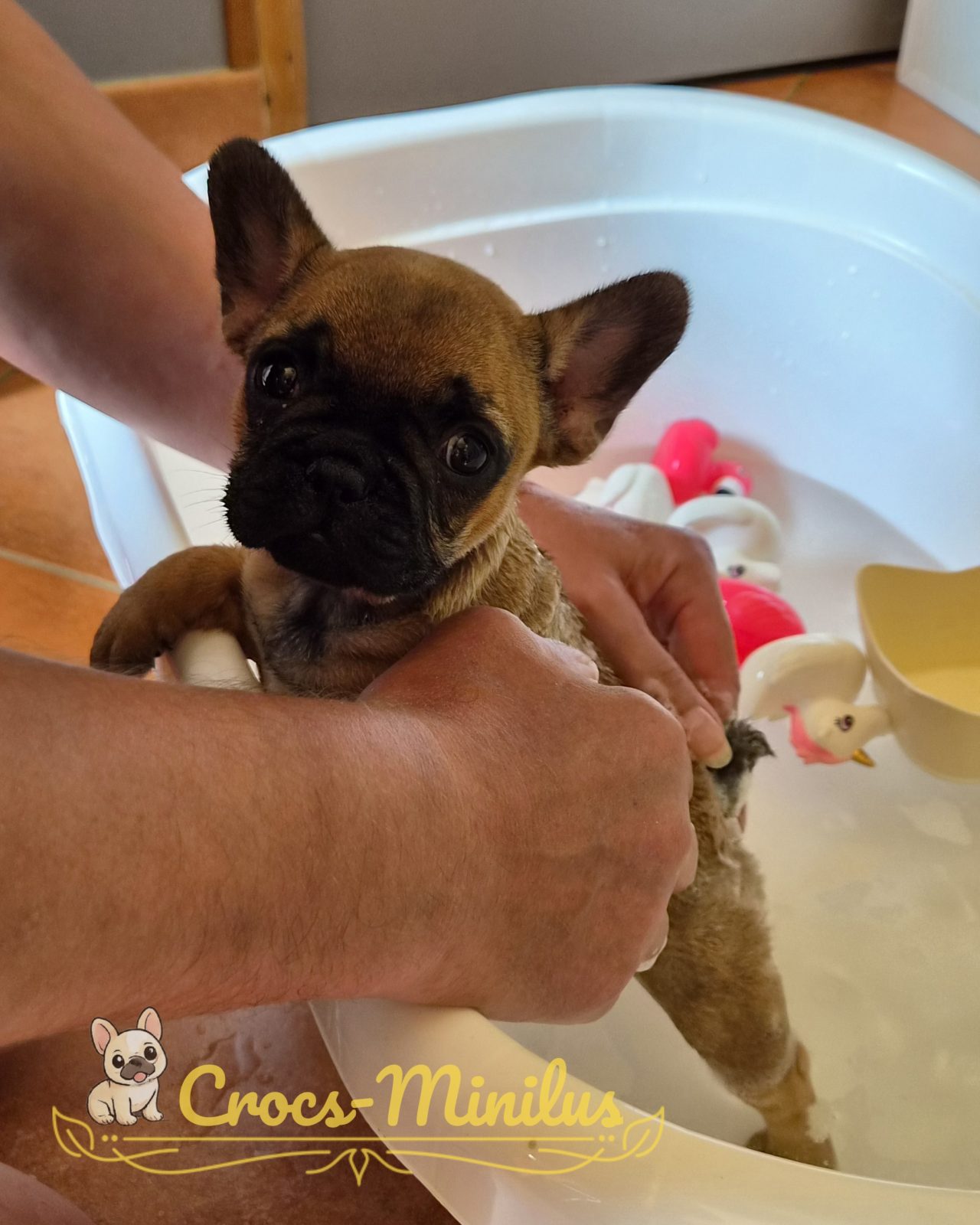 27 Mai 2026 - Allez vite, au bain !
