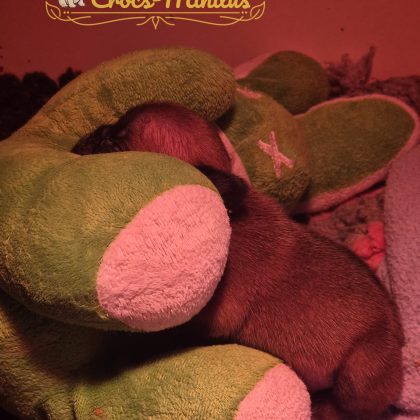 28 Avril 2026, j'adore mon doudou lapin :)