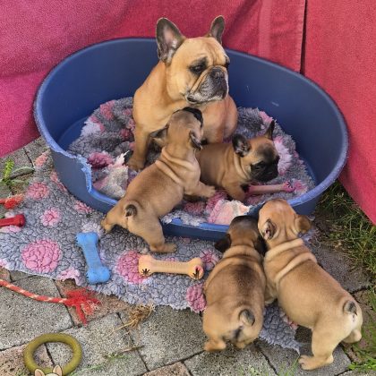 21 Mai 2026 - Baby Sitter nous surveille de très près ! :)