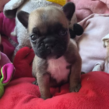 28 Avril 2026 - Et voilà ma belle bouille :)