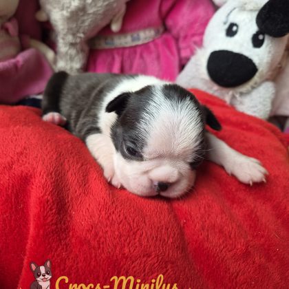 19 Juillet 2026 - Voilà la belle bouille de mes 14 jours :)