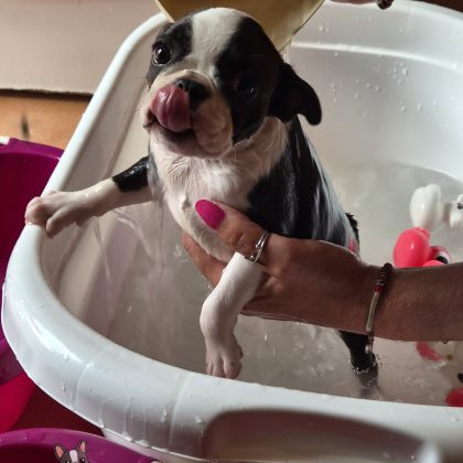 31/07/2026 - Trop bien le bain :)