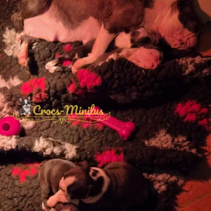 03/08/2026 - Gros dodo pour tous, et moi j'adore être contre maman :)