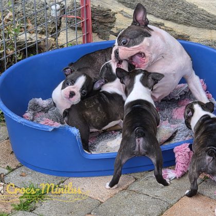 23/08/2026 - Hihihi, allez tous sur maman !! :)