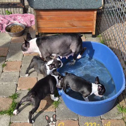 03/09/2026 - Trop bon le bain sous ce grand soleil :)