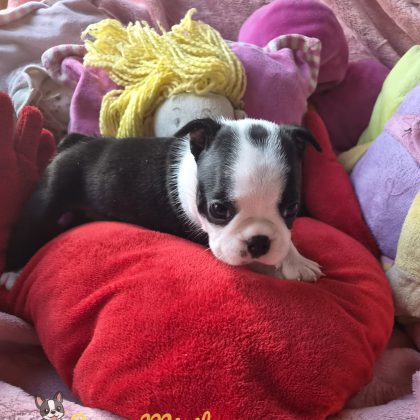 08/09/2026 - J'ai un mois et voilà ma belle bouille :)