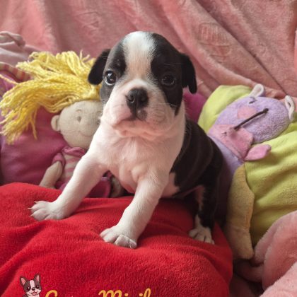 08/09/2026 - J'ai un mois et voilà ma belle bouille toute ronde :)