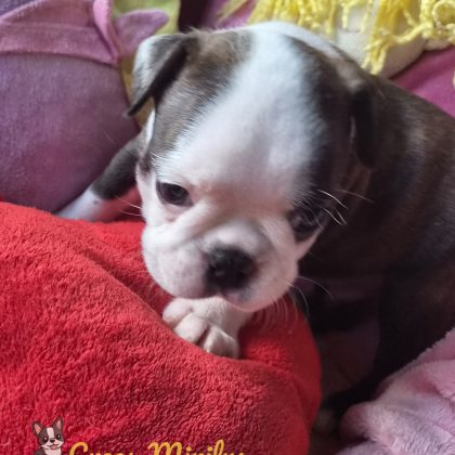 08/09/2026 - J'ai un mois et voilà ma belle bouille :)