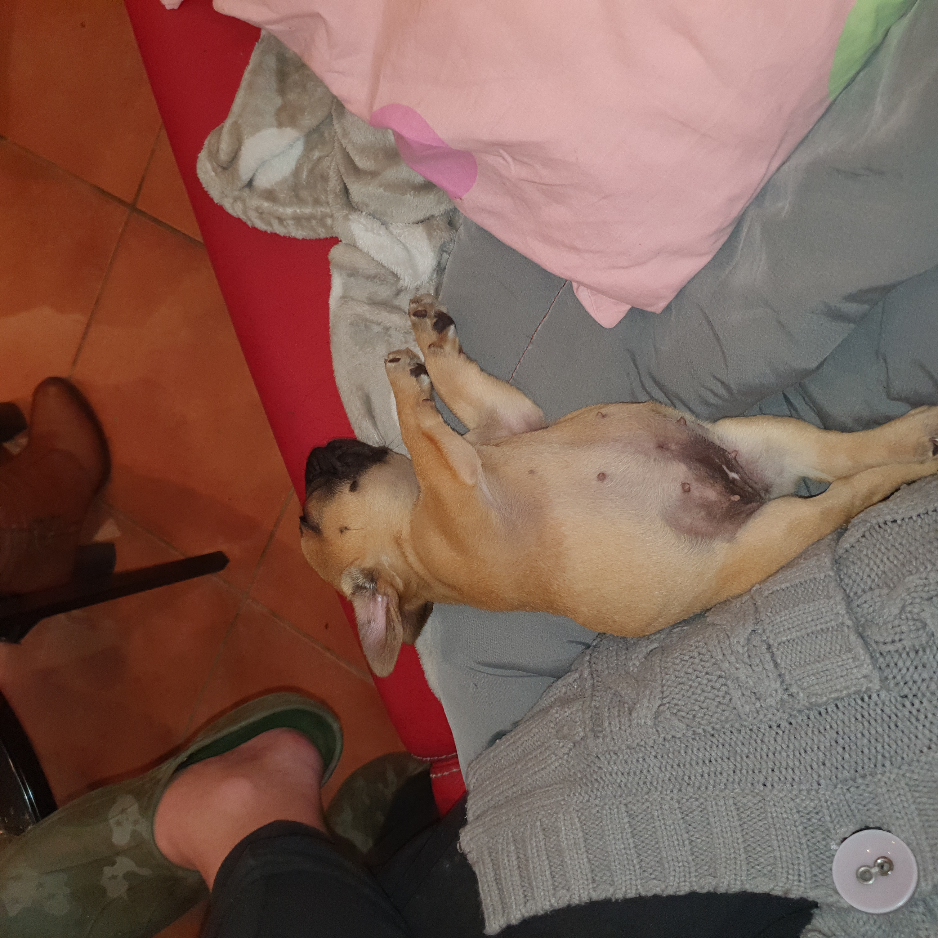 Baby