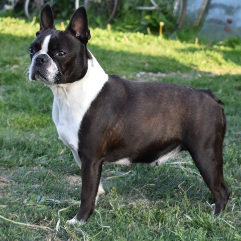Nikita