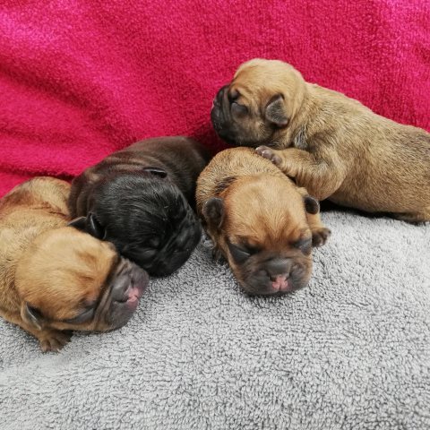 05/04/2022 - Le jour de ma naissance avec mes frères et ma sœur
