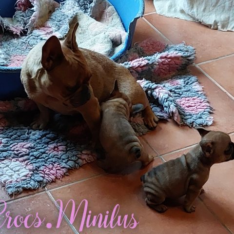 08/01/2025 - Avec mes filles Vayana et Ginette