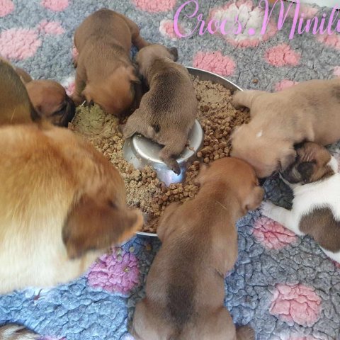 Avec mes bébés d'Avril 2024 :), ma petite Vénus à trouver le truc pour manger :)