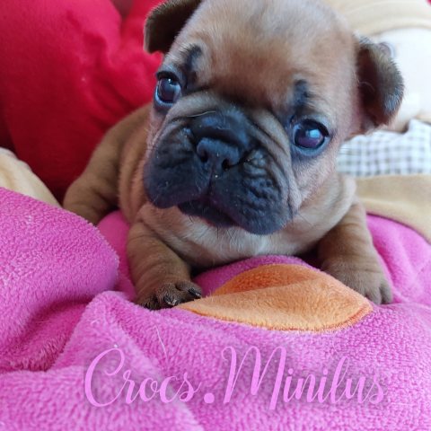 26/05/2024 - J'ai un mois :)