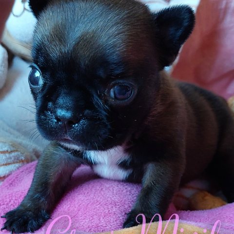 06/07/2024 - Ma bouille à 1 mois :)