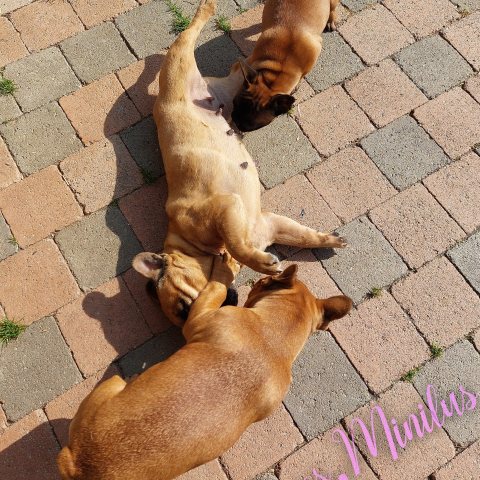 21/09/2024 - Trop bien de jouer avec Baby et Vortex :)