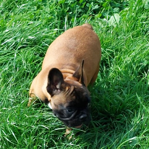 21/09/2024 - J'ai 3 mois et voilà ma belle bouille :)