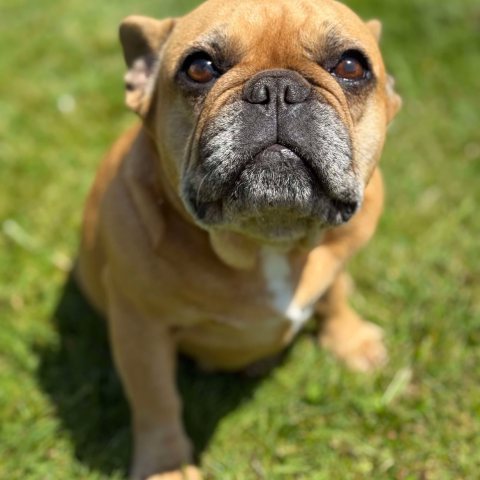 Ma belle bouille de retraitée :)