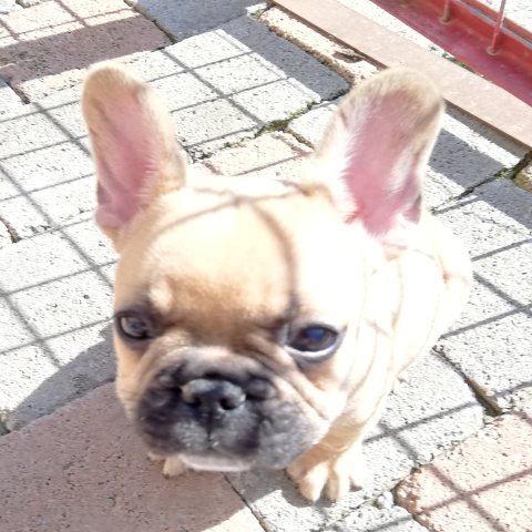 Ma petite bouille petite :)