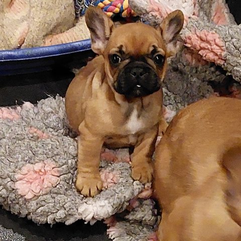 17/12/2024 - Ma belle bouille à 2 mois :)
