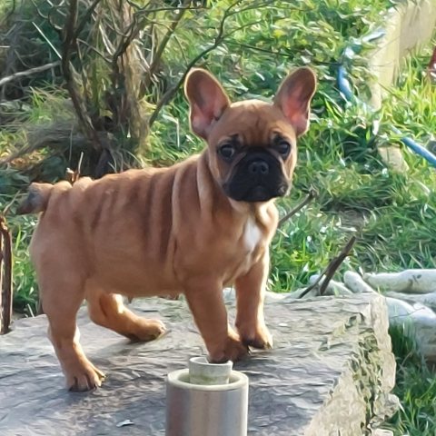 11/01/2025 - Ma bouille à presque 3 mois :)