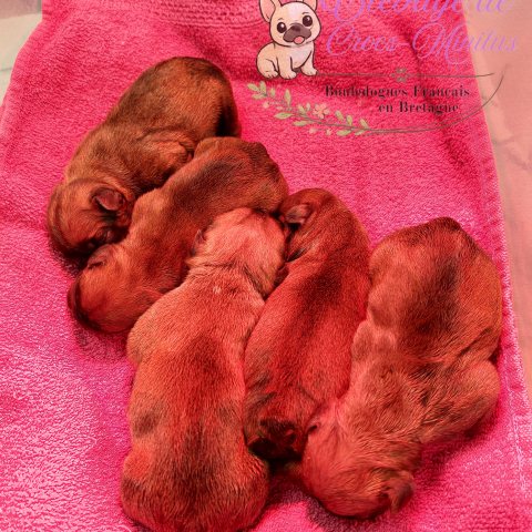 31/03/2026 - Mes 5 bouilles d'Amour :)