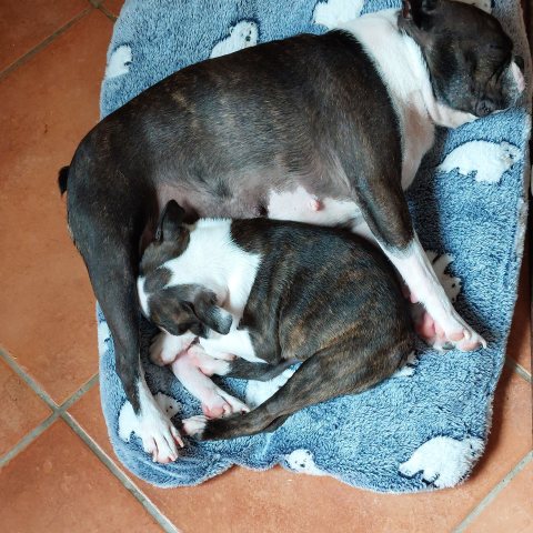 08/05/2022 - Avec ma maman Rosalie :)