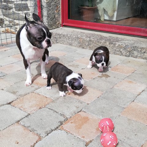 12/04/2022 - Petite sortie en famille :)