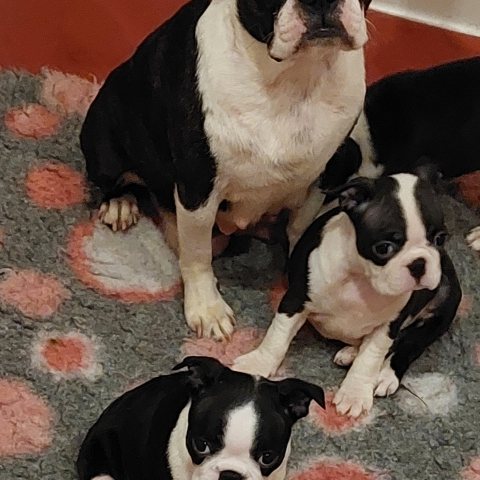 01/01/2023 - Portrait de famille :)