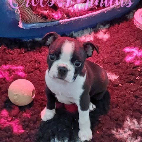 29/12/2025 - Mon 1er fils Achille :)