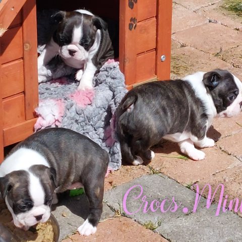 26/04/2024 - Photo de famille :)