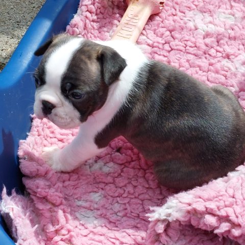 26/04/2024 - Ma belle bouille de bébé :)