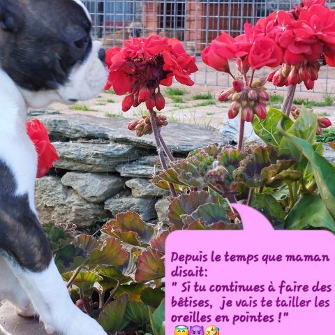 06/06/2024 - Un peu d'humour :)