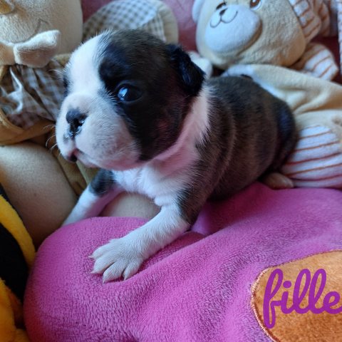 07/07/2024 - Ma belle bouille de bébé :)