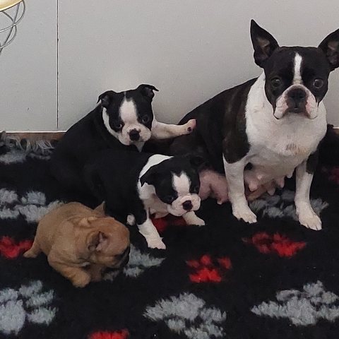 25/10/2025 - Photo de famille, avec mon frère Adonis et la petite Abby :)