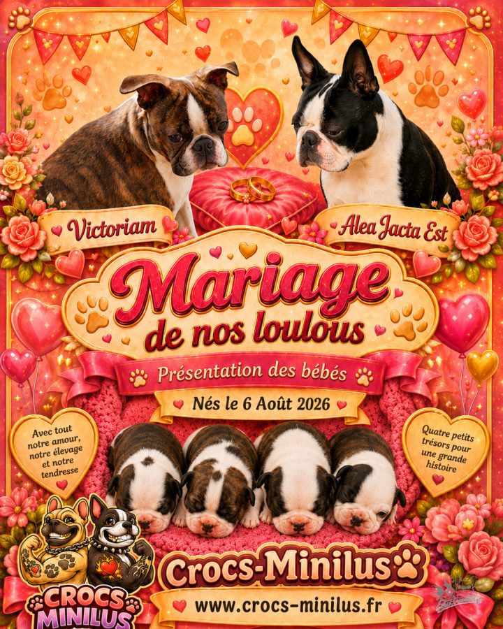 🥰🥰 Faire-Part de naissance 🥰🥰